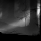 Screenshot: Limbo/Playdead